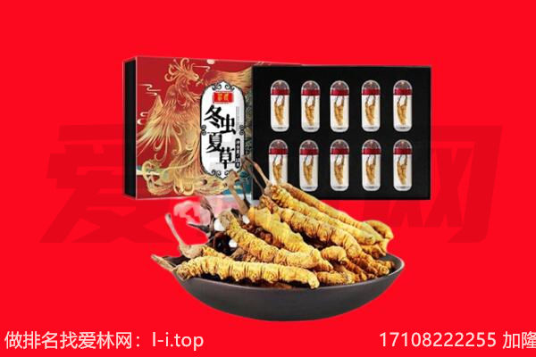 黄龙县回收虫草.jpg